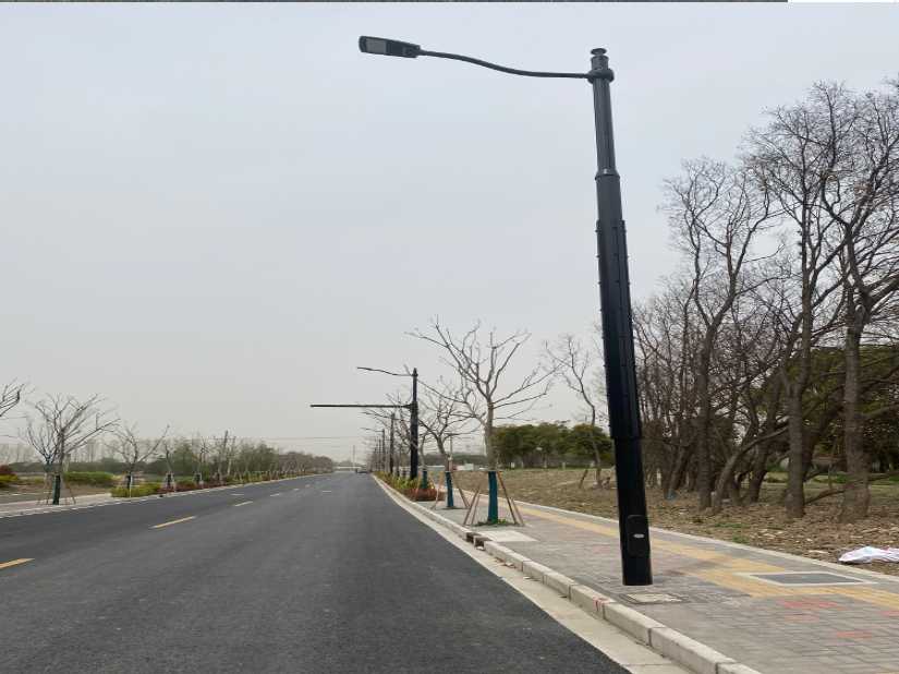 会宁县上海综合杆 太阳能路灯工程